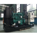 Famous Factory Directly Sale 250kVA/200kw Open Type Generator (NT855-GA) (GDC250)